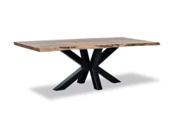 Hot Paco World Collections Santos Boomstamtafel