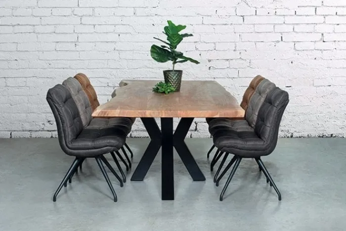 Hot Paco World Collections Santos Boomstamtafel